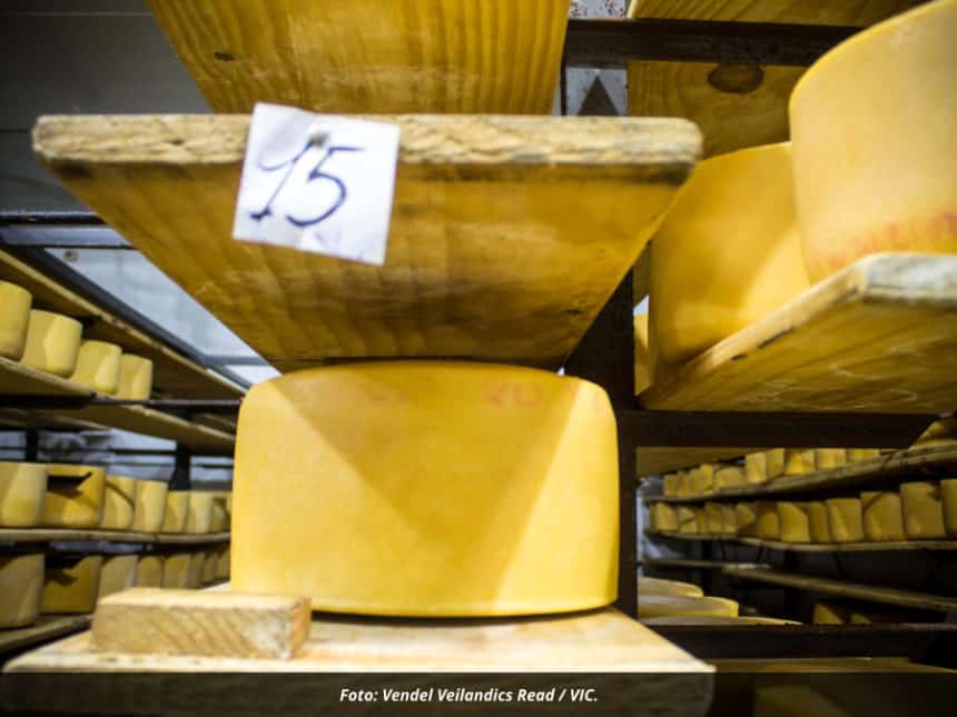 Una institución referente de la quesería artesanal uruguaya en tiempos de crisis